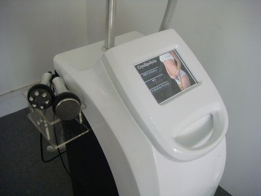 Zeltiq CoolSculpting Cryolipolysis Machine For Back , Waist Fat Removal