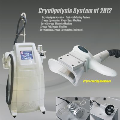 Zeltiq CoolSculpting Cryolipolysis Machine For Back , Waist Fat Removal