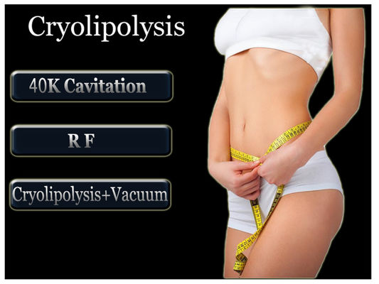 Zeltiq CoolSculpting Cryolipolysis Machine For Back , Waist Fat Removal