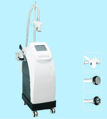 Cryolipolysis makine Güzellik Ekipmanları 8 inç ekran ile dondurulmuş yağ